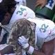 Illustration for article titled Why Your Team Sucks 2019: Miami Dolphins